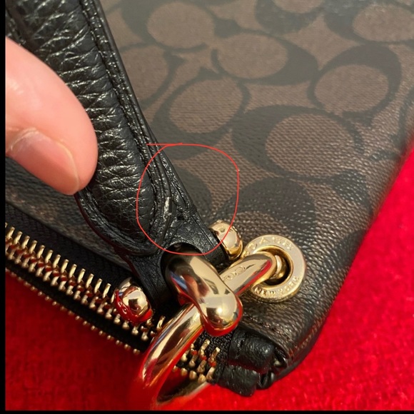 Coach Lyla Crossbody in Signature Canvas - Picture 4 of 16